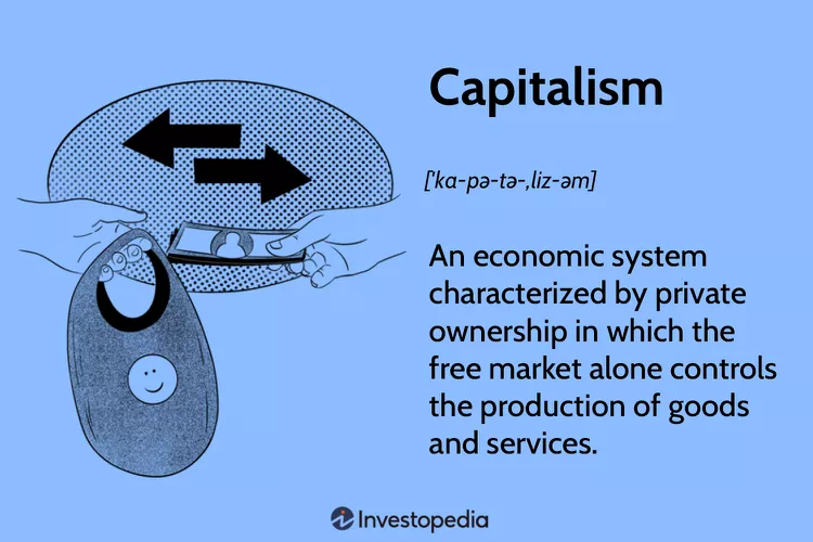 Principal Traits that Can Be Identified in Capitalist Economies
